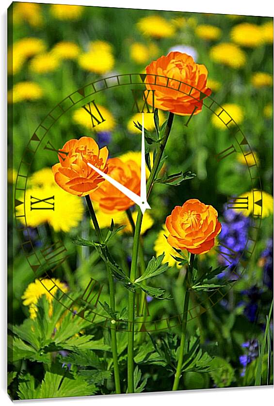 Часы картина - Оранжевые цветы
