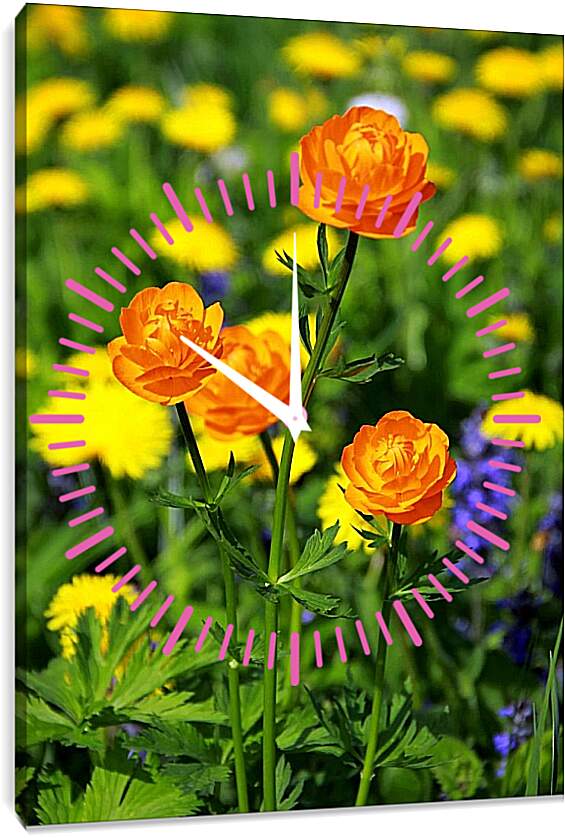 Часы картина - Оранжевые цветы
