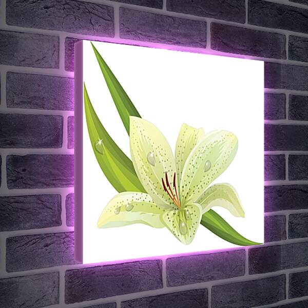 Лайтбокс световая панель - Белый цветок