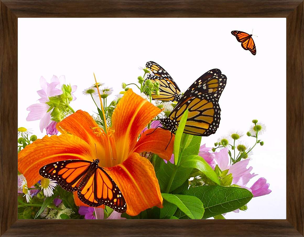 Картина в раме - Лилии и бабочки