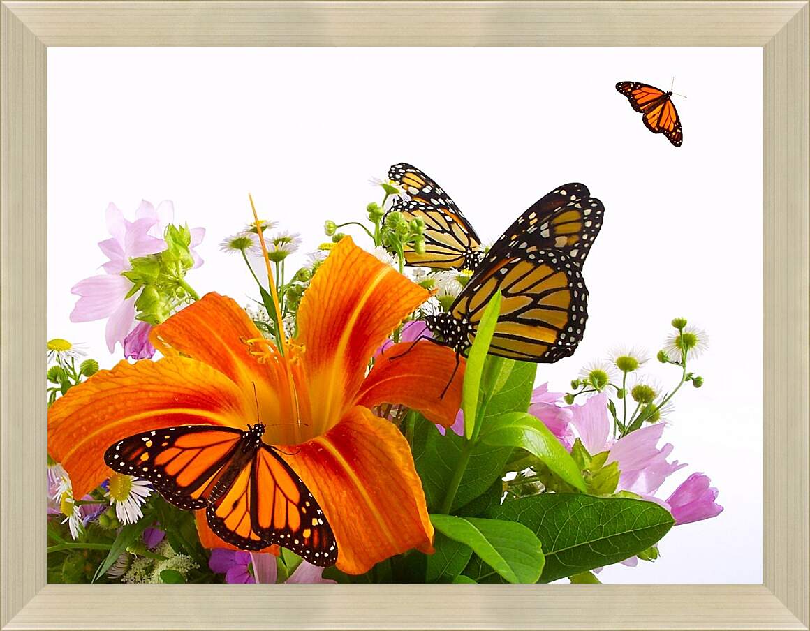 Картина в раме - Лилии и бабочки