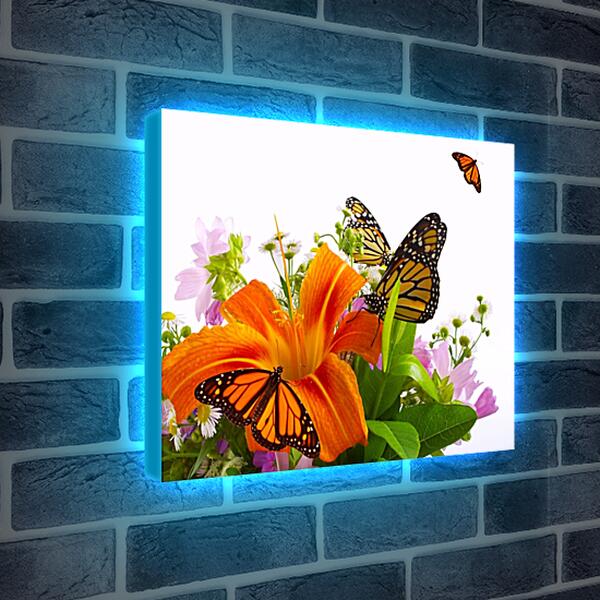 Лайтбокс световая панель - Лилии и бабочки