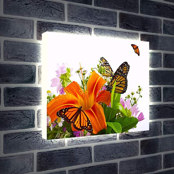 Лайтбокс световая панель - Лилии и бабочки