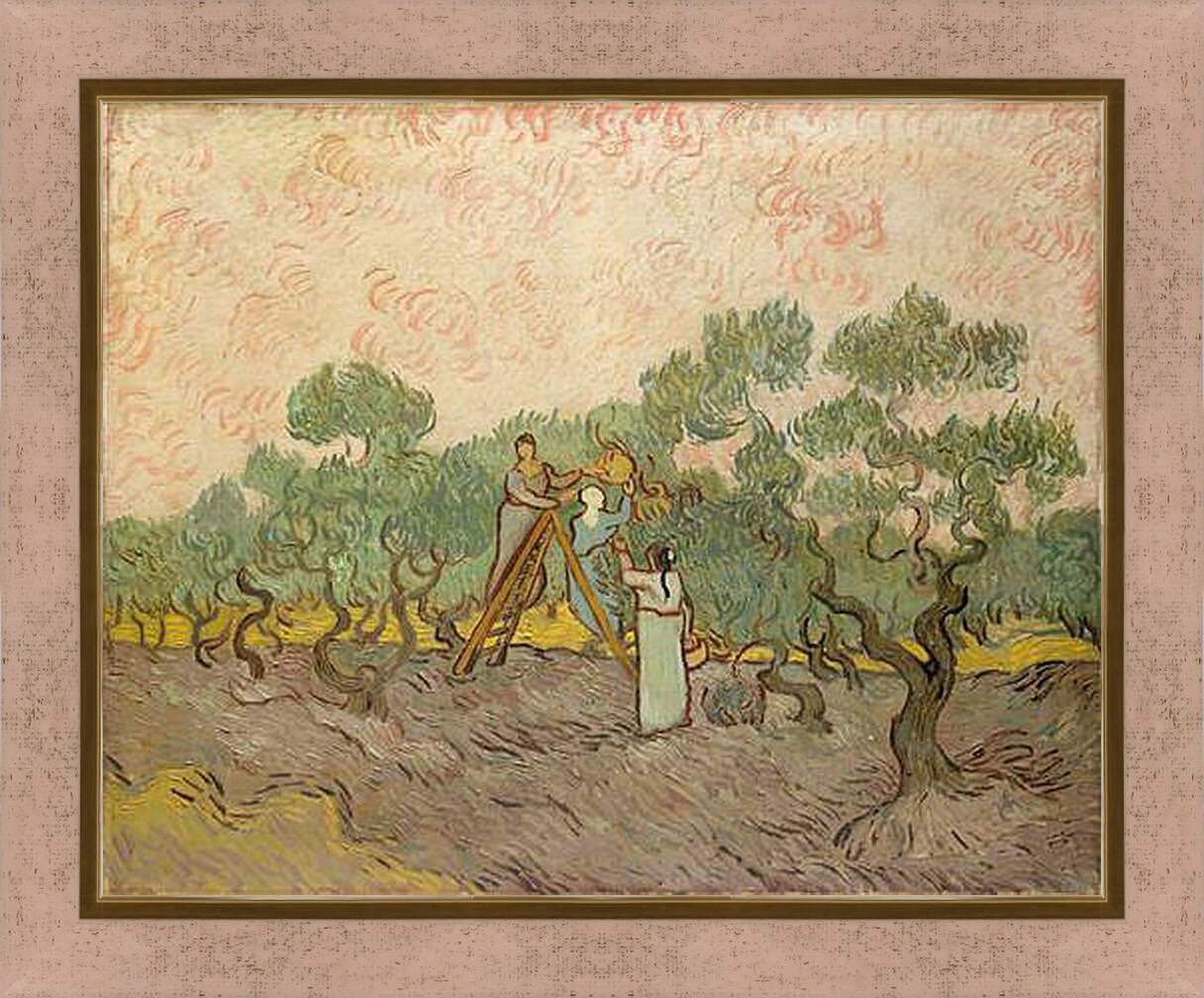 Картина в раме - Женщины собирают маслины. Винсент Ван Гог