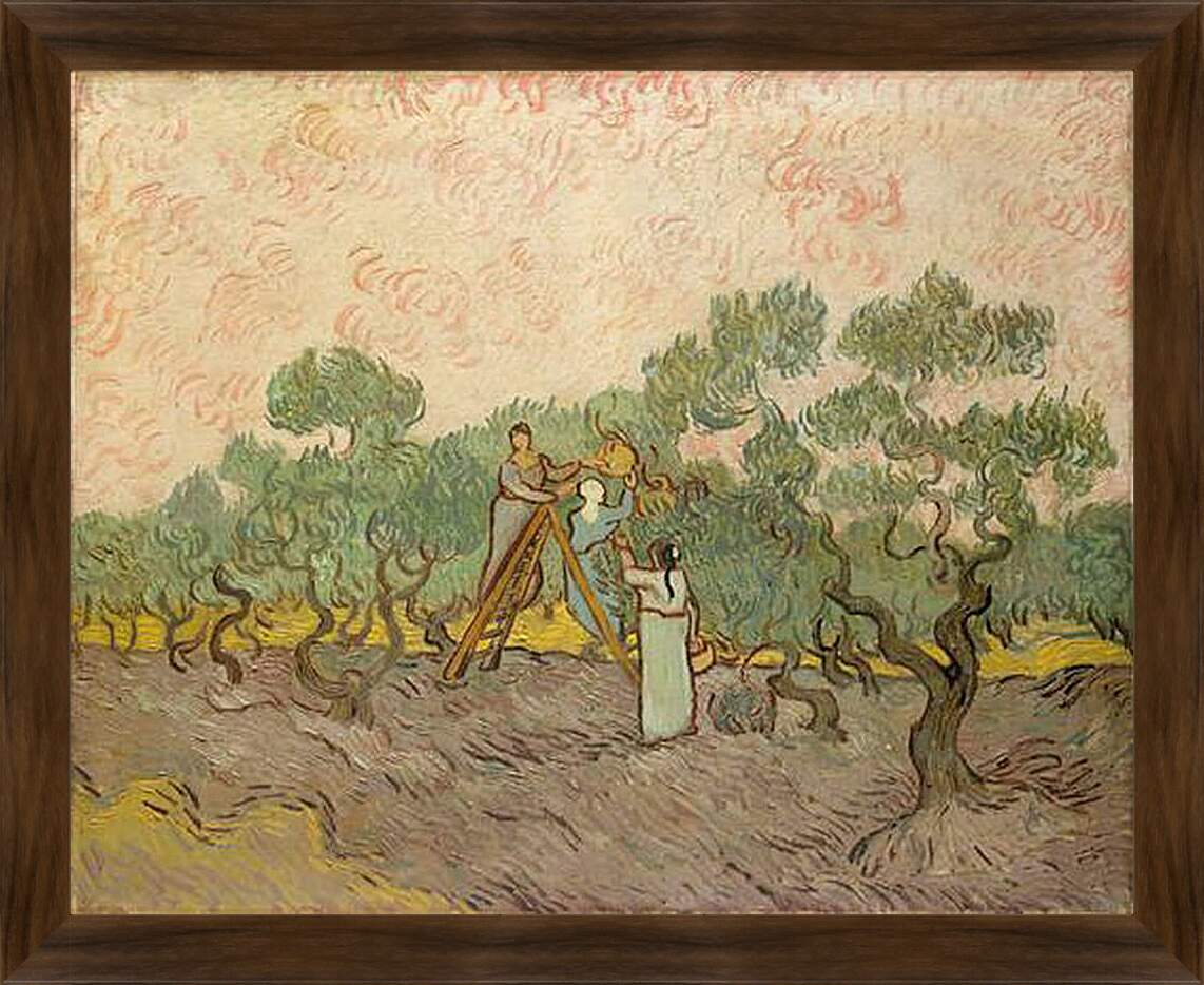 Картина в раме - Женщины собирают маслины. Винсент Ван Гог