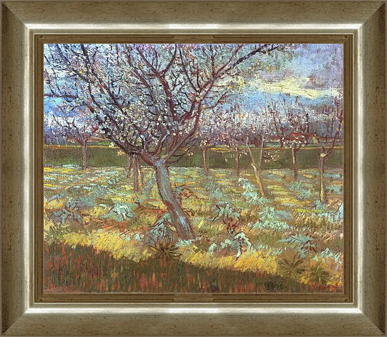 Картина в раме - Apricot Tree in Bloom. Винсент Ван Гог