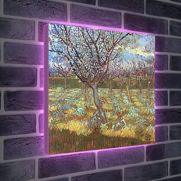 Лайтбокс световая панель - Apricot Tree in Bloom. Винсент Ван Гог