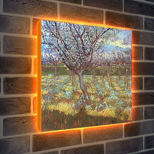 Лайтбокс световая панель - Apricot Tree in Bloom. Винсент Ван Гог