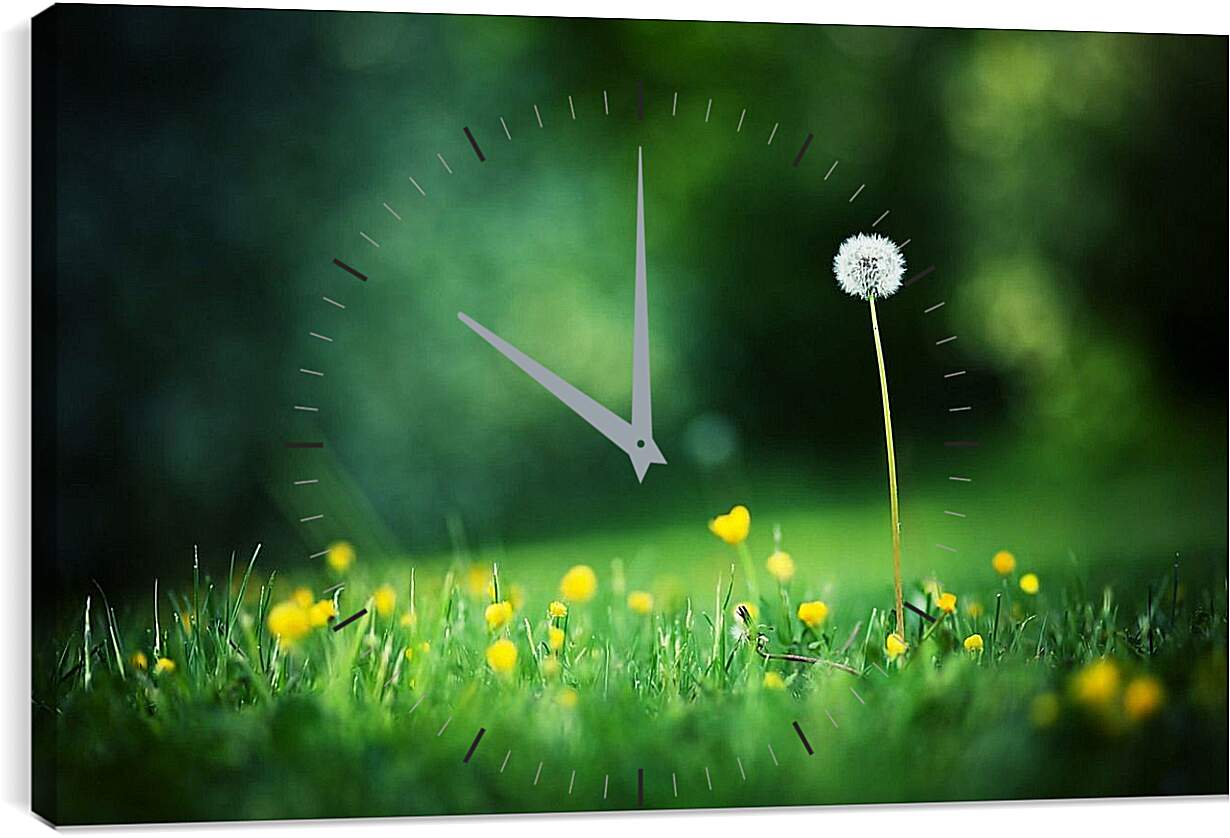Часы картина - Одинокий белый одуванчик на поляне