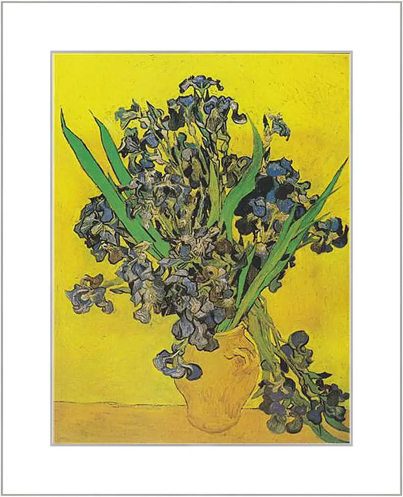 Картина в раме - Irises - Ирисы. Винсент Ван Гог