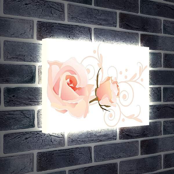 Лайтбокс световая панель - Розы