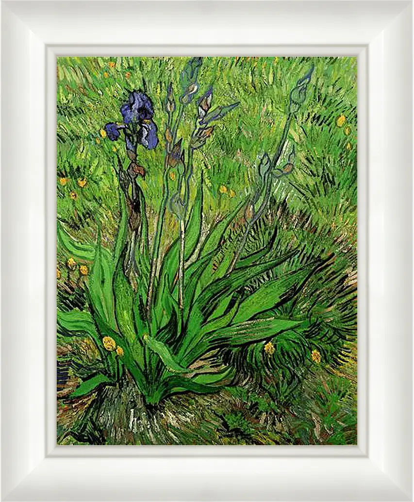 Картина в раме - The Iris. Винсент Ван Гог
