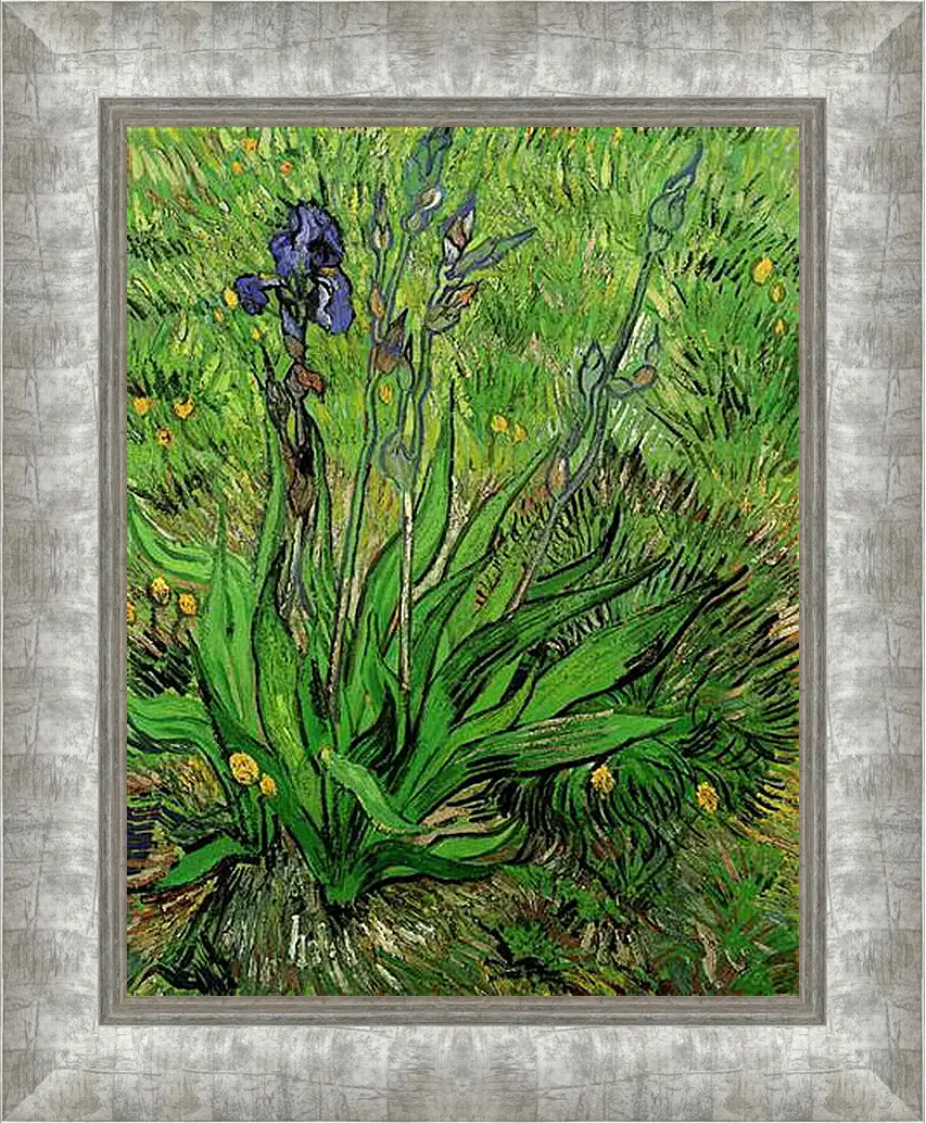 Картина в раме - The Iris. Винсент Ван Гог