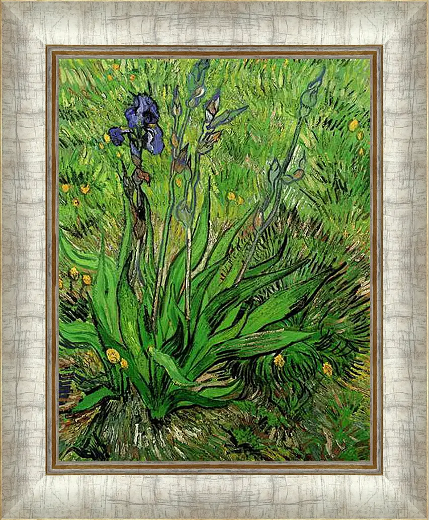 Картина в раме - The Iris. Винсент Ван Гог