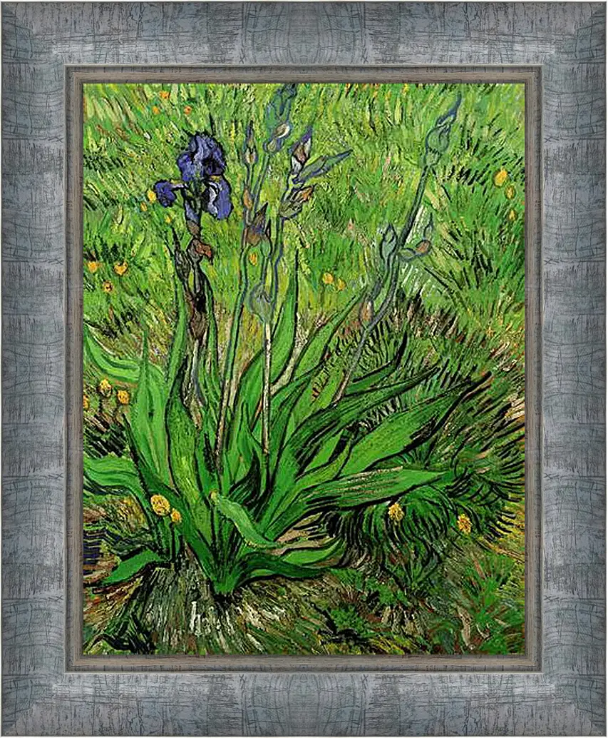 Картина в раме - The Iris. Винсент Ван Гог