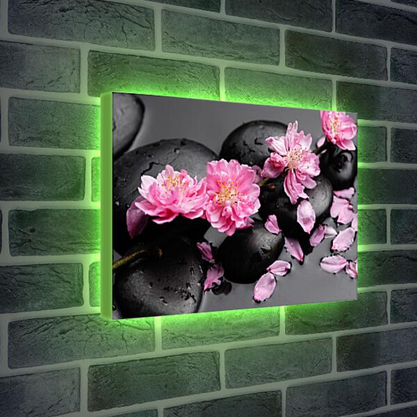 Лайтбокс световая панель - Цветы на камнях