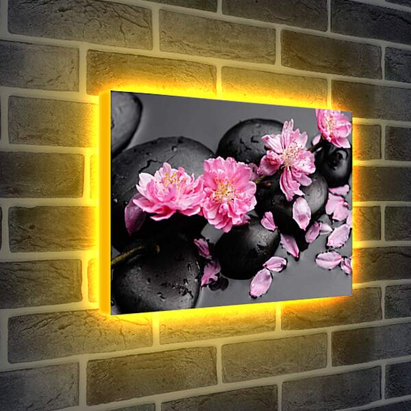 Лайтбокс световая панель - Цветы на камнях