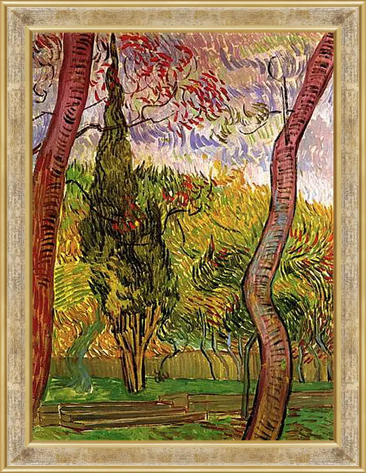 Картина в раме - The Garden of Saint-Paul Hospital 2. Винсент Ван Гог