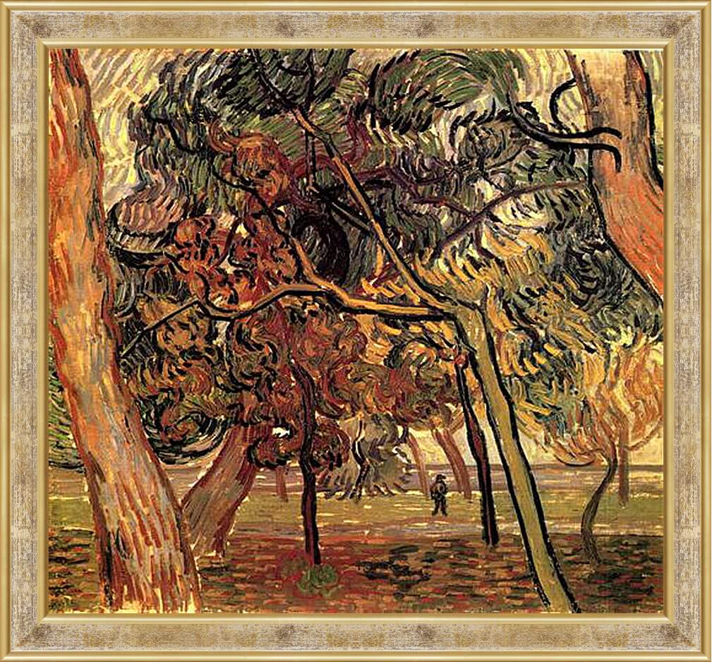 Картина в раме - Study of Pine Trees. Винсент Ван Гог