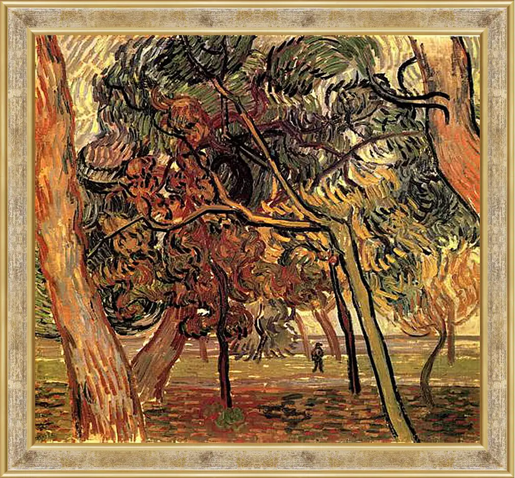 Картина в раме - Study of Pine Trees. Винсент Ван Гог