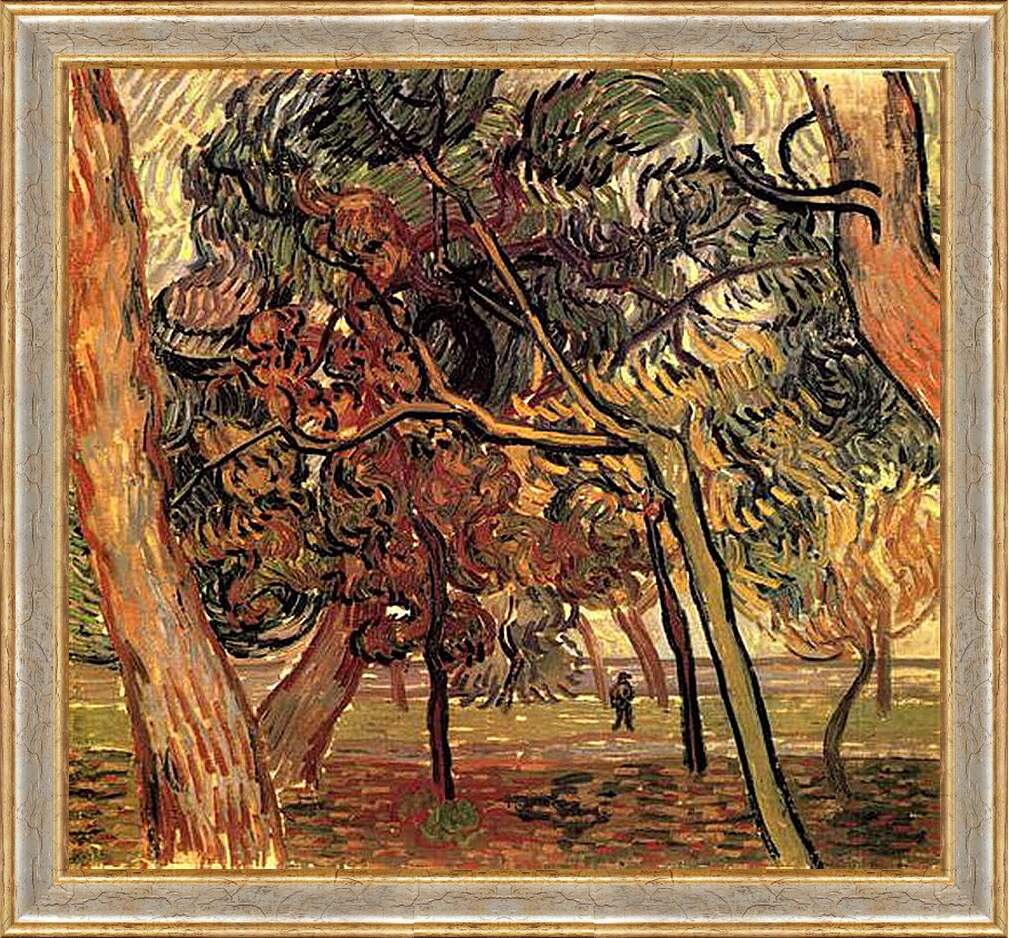 Картина в раме - Study of Pine Trees. Винсент Ван Гог