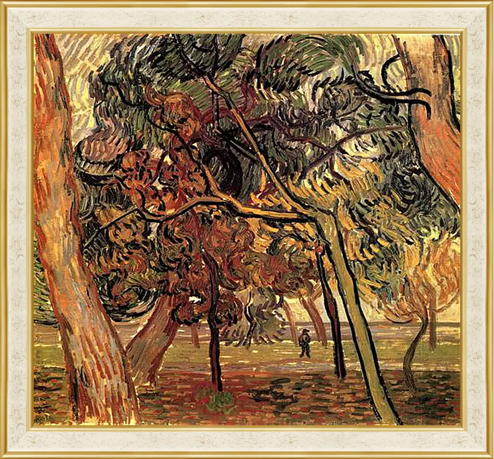 Картина в раме - Study of Pine Trees. Винсент Ван Гог