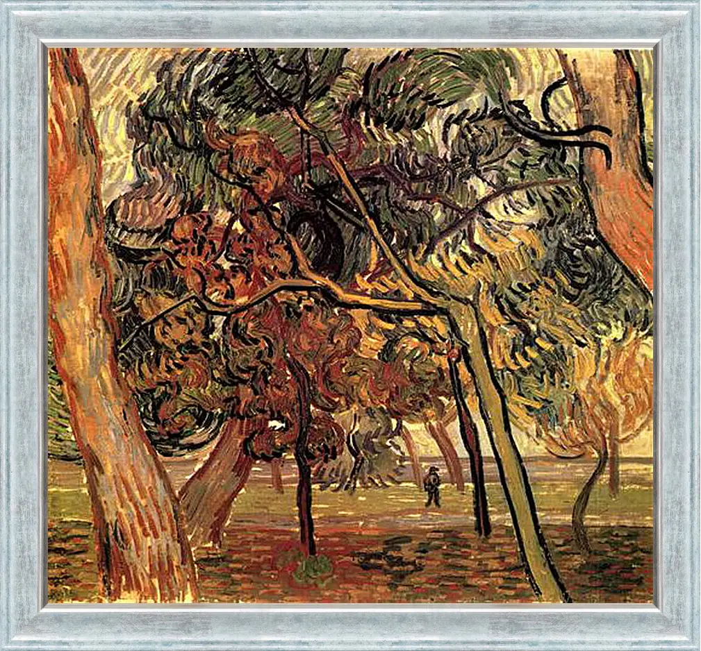 Картина в раме - Study of Pine Trees. Винсент Ван Гог