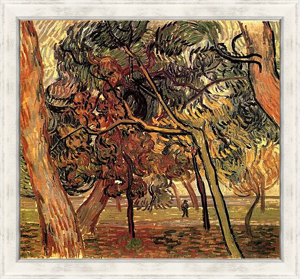 Картина в раме - Study of Pine Trees. Винсент Ван Гог