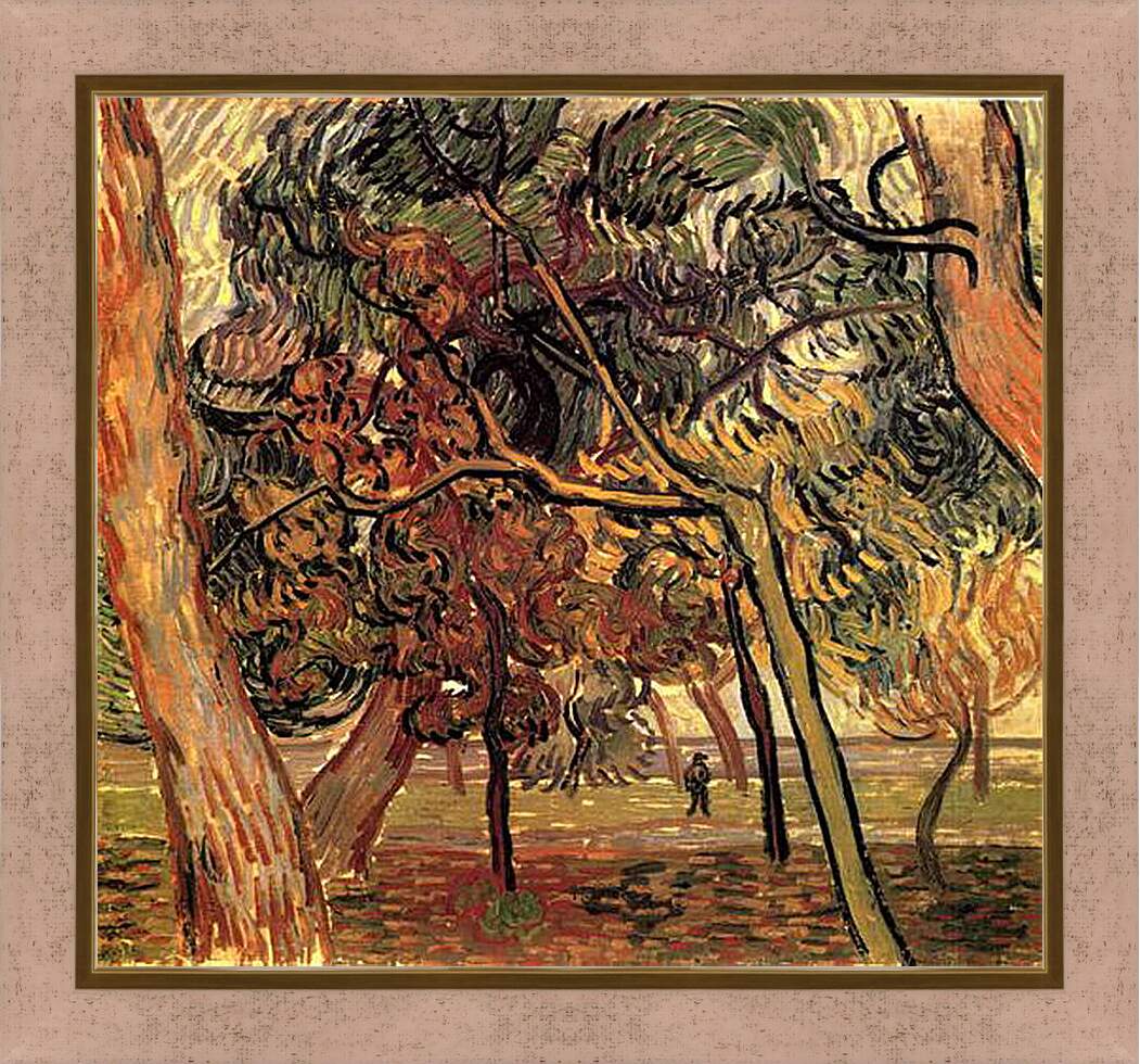 Картина в раме - Study of Pine Trees. Винсент Ван Гог
