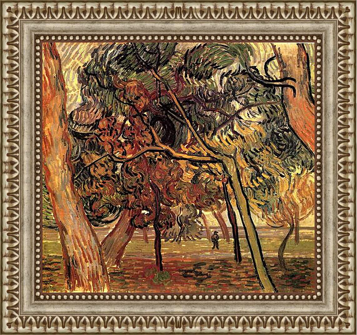 Картины 1889. Ван Гог сосны. Ван Гог период сен Реми. Винсент Ван Гог ранние картины. Ван Гог оливковые деревья.