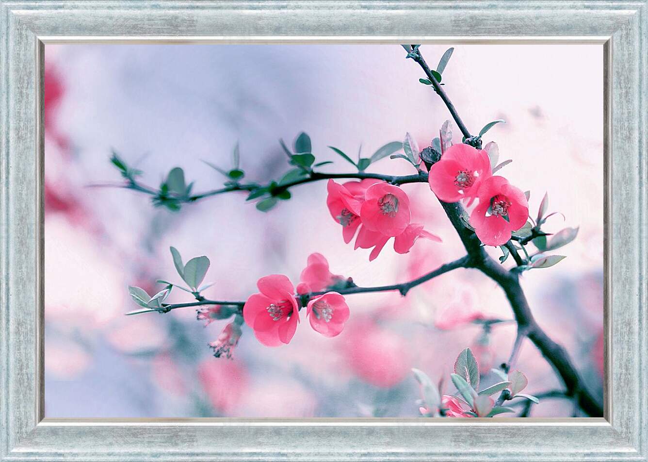 Картина в раме - Цветы вишни