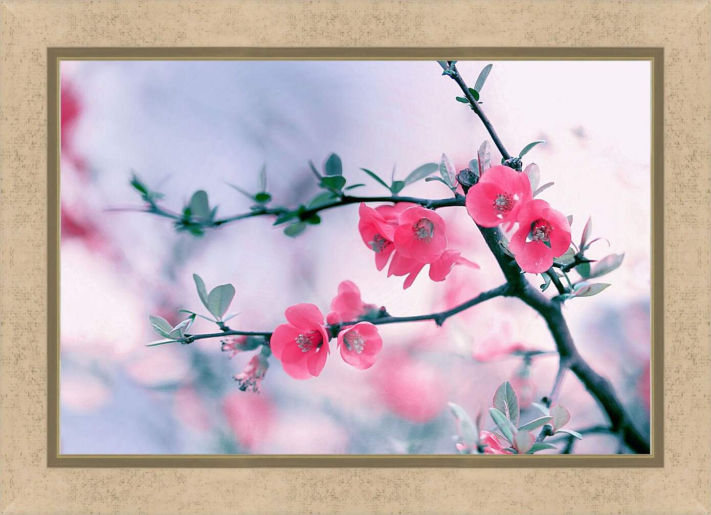 Картина в раме - Цветы вишни