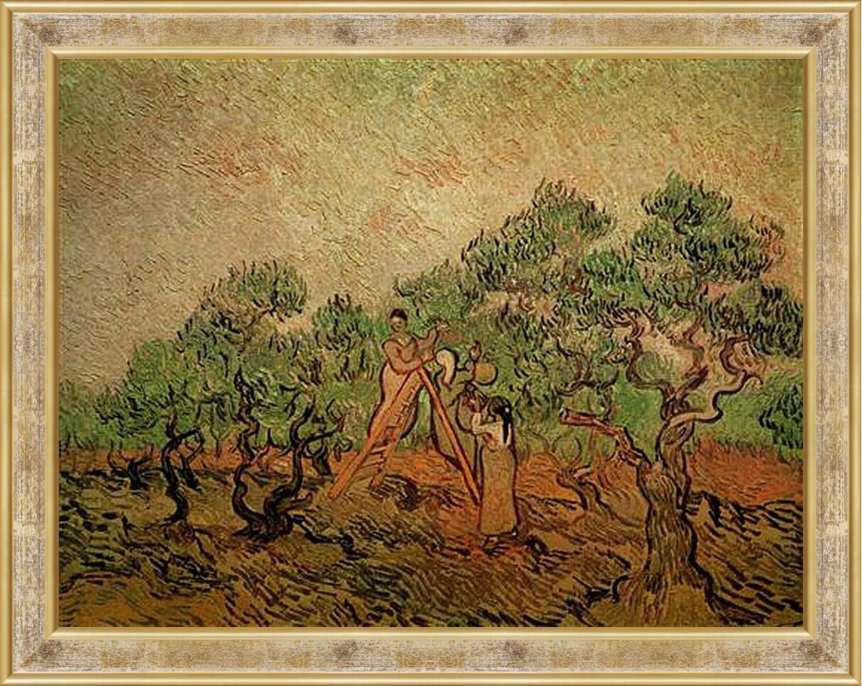 Картина в раме - Olive Picking 3. Винсент Ван Гог
