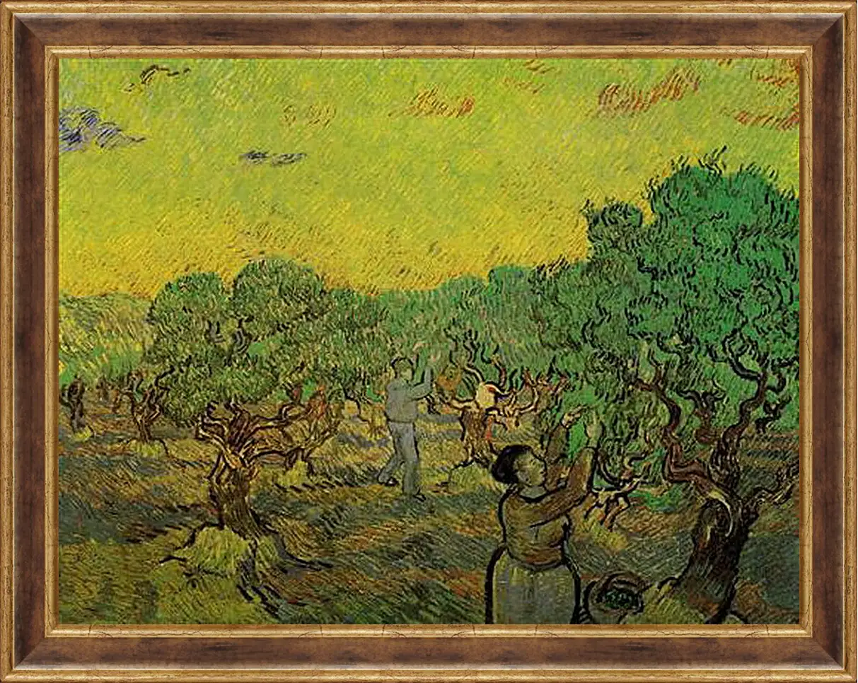 Картина в раме - Olive Grove with Picking Figures. Винсент Ван Гог