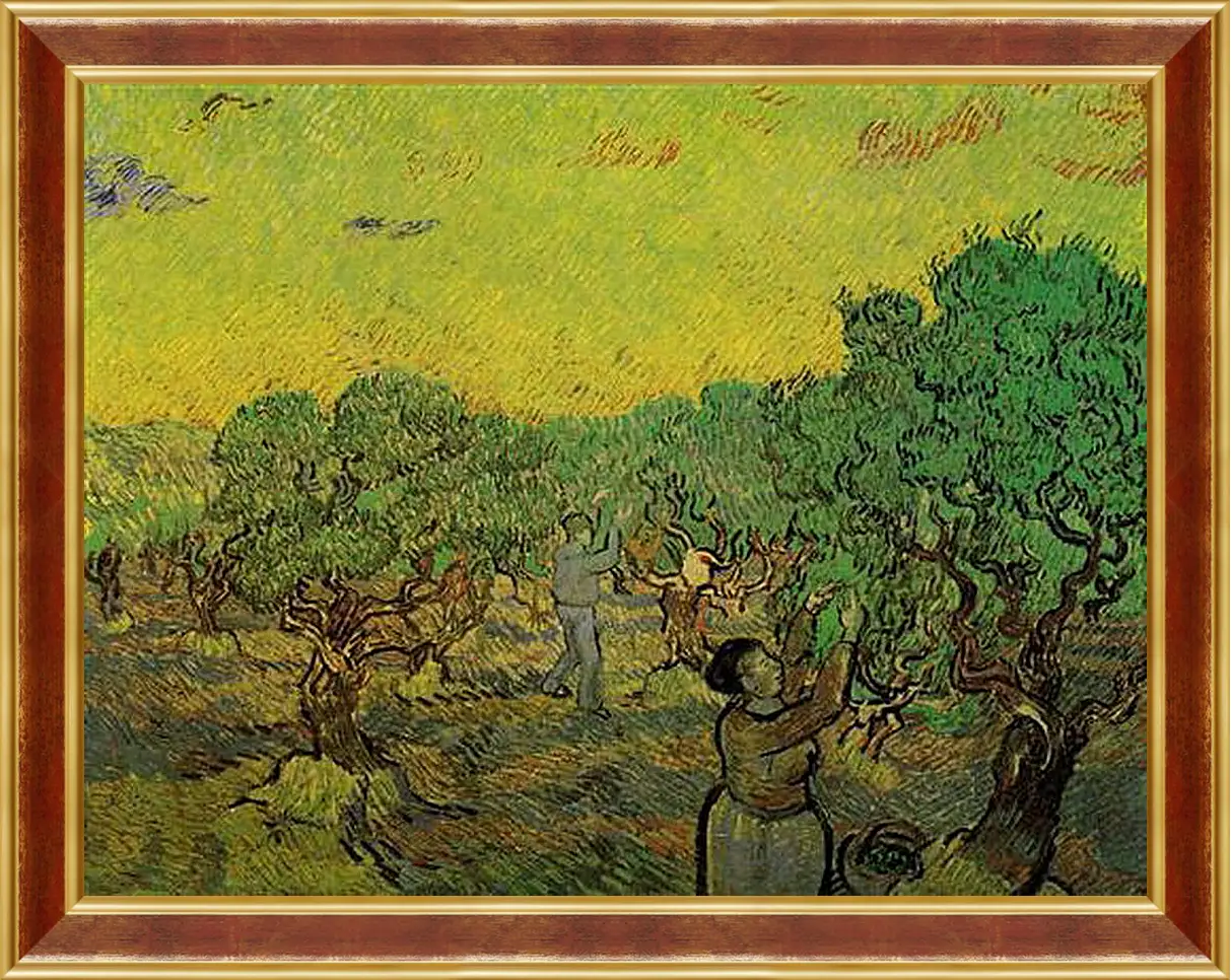 Картина в раме - Olive Grove with Picking Figures. Винсент Ван Гог