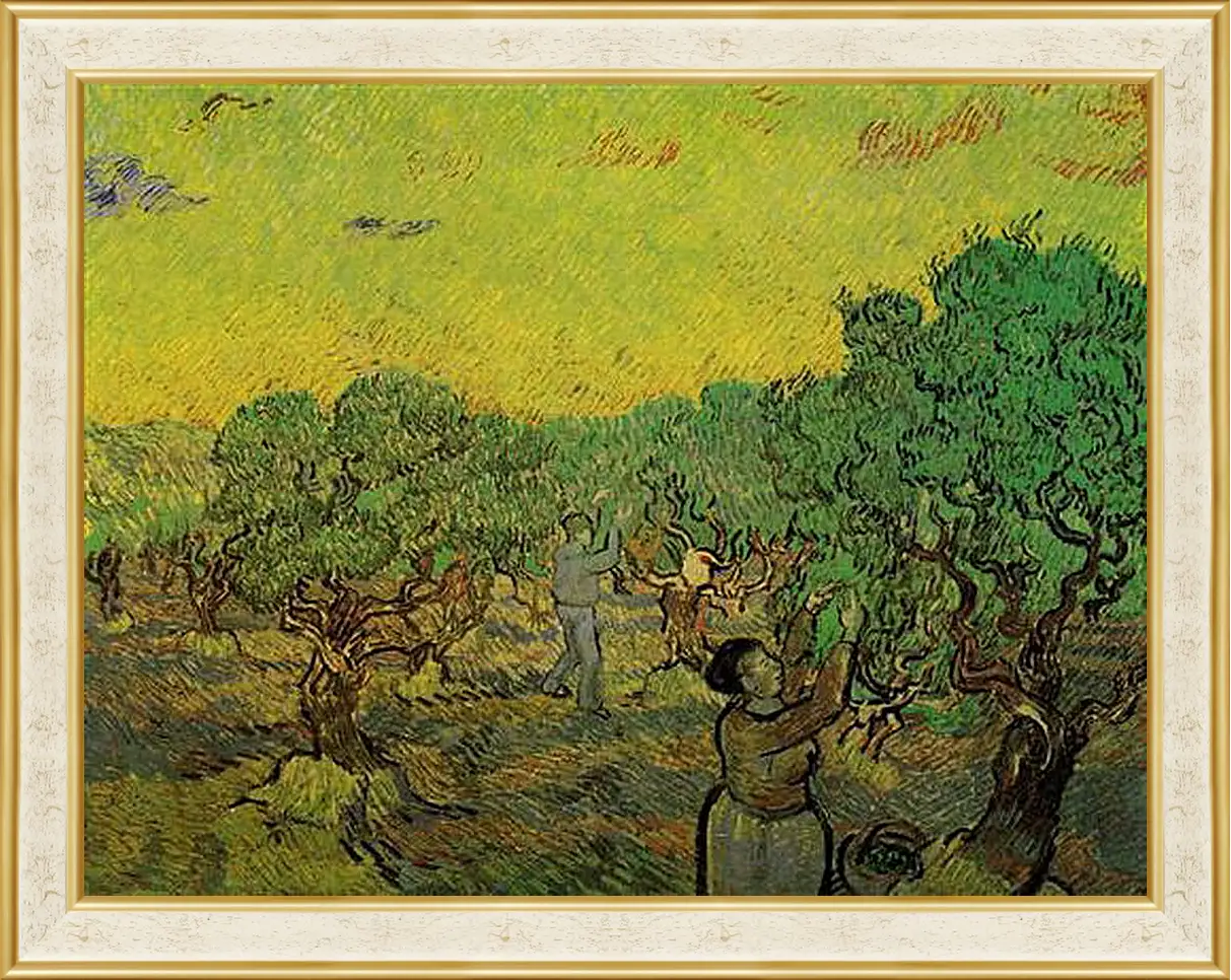 Картина в раме - Olive Grove with Picking Figures. Винсент Ван Гог