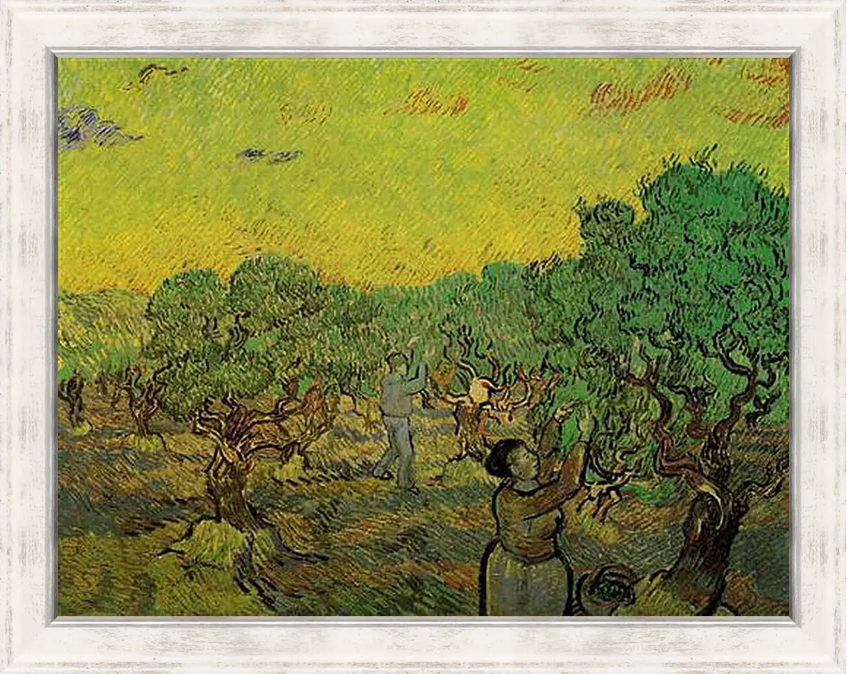 Картина в раме - Olive Grove with Picking Figures. Винсент Ван Гог
