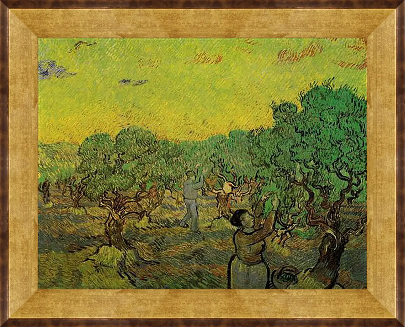 Картина в раме - Olive Grove with Picking Figures. Винсент Ван Гог