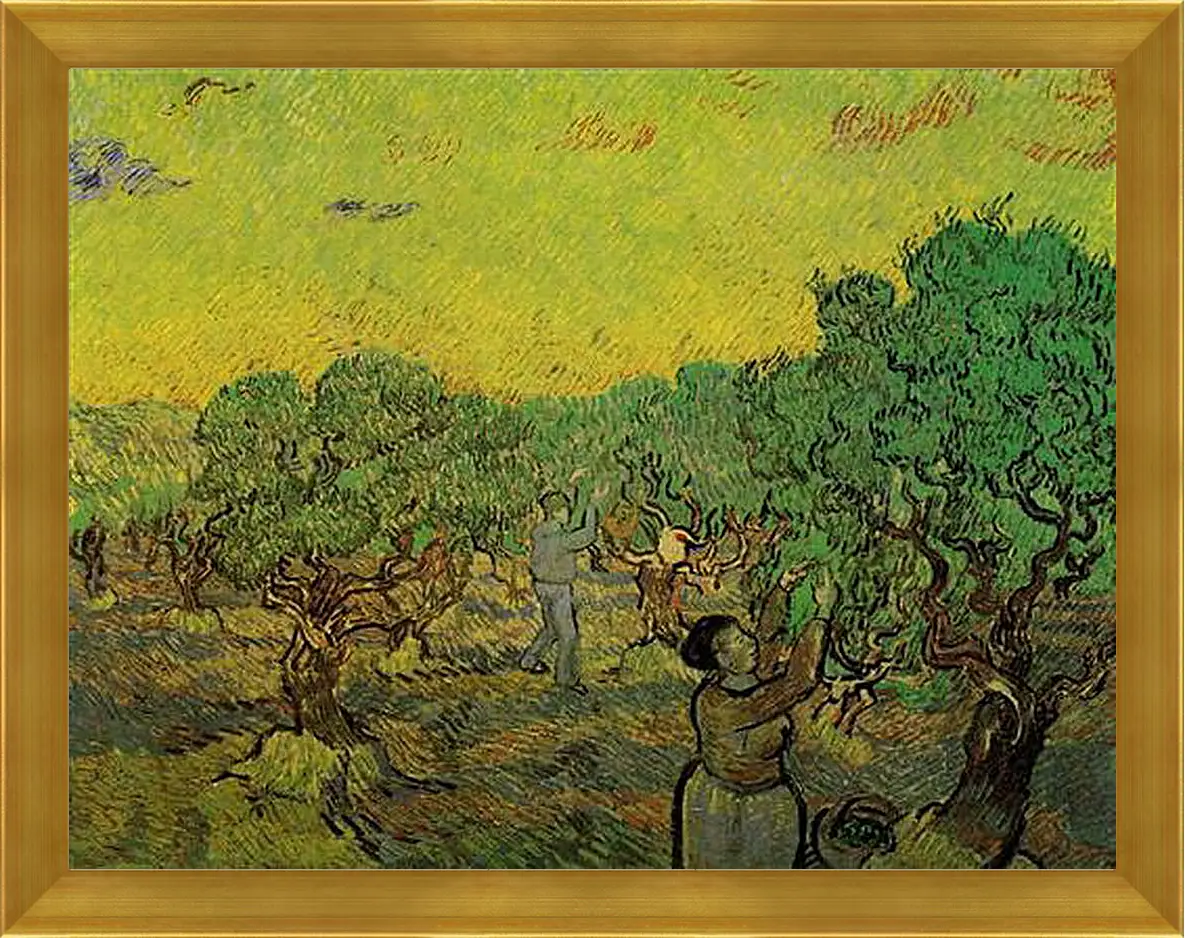 Картина в раме - Olive Grove with Picking Figures. Винсент Ван Гог