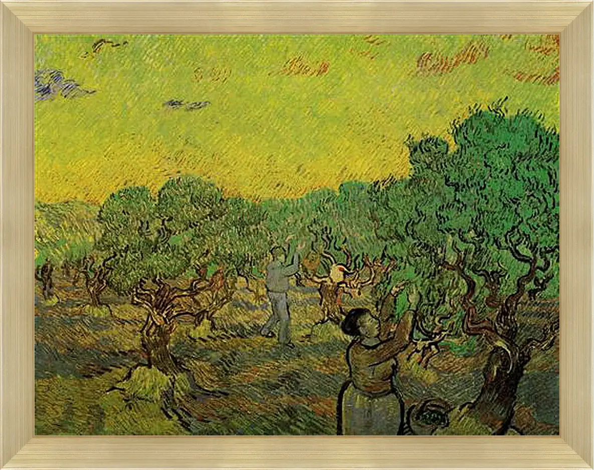 Картина в раме - Olive Grove with Picking Figures. Винсент Ван Гог