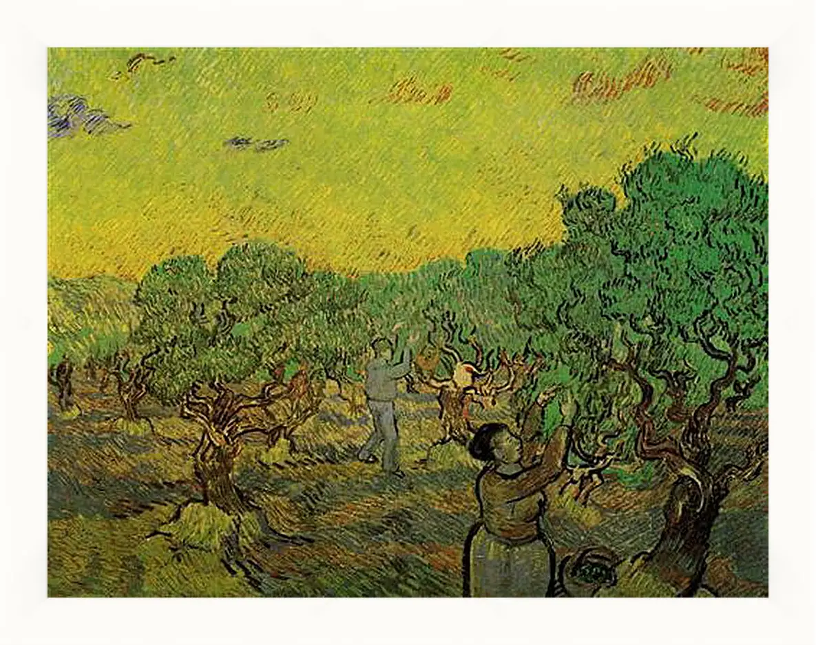 Картина в раме - Olive Grove with Picking Figures. Винсент Ван Гог