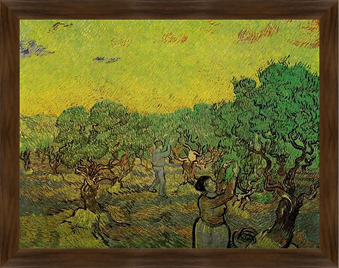 Картина в раме - Olive Grove with Picking Figures. Винсент Ван Гог
