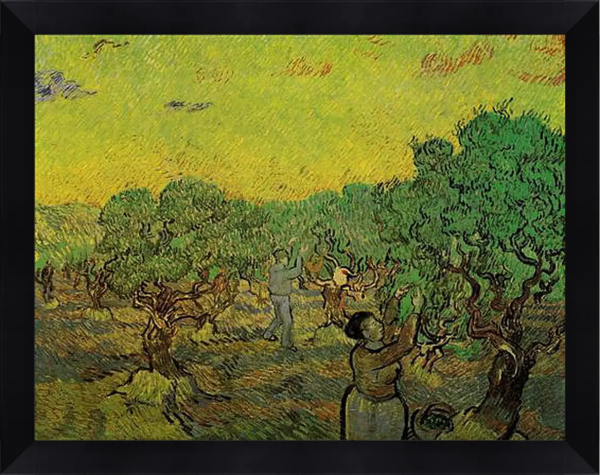 Картина в раме - Olive Grove with Picking Figures. Винсент Ван Гог