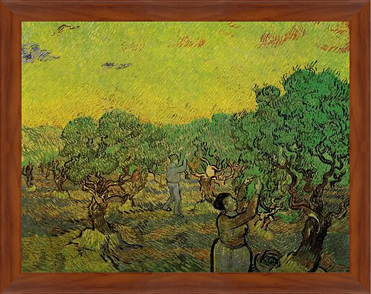 Картина в раме - Olive Grove with Picking Figures. Винсент Ван Гог