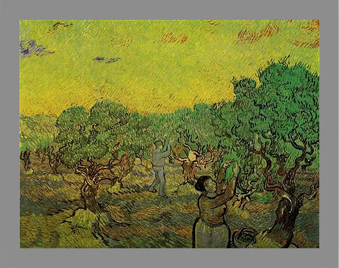 Картина в раме - Olive Grove with Picking Figures. Винсент Ван Гог