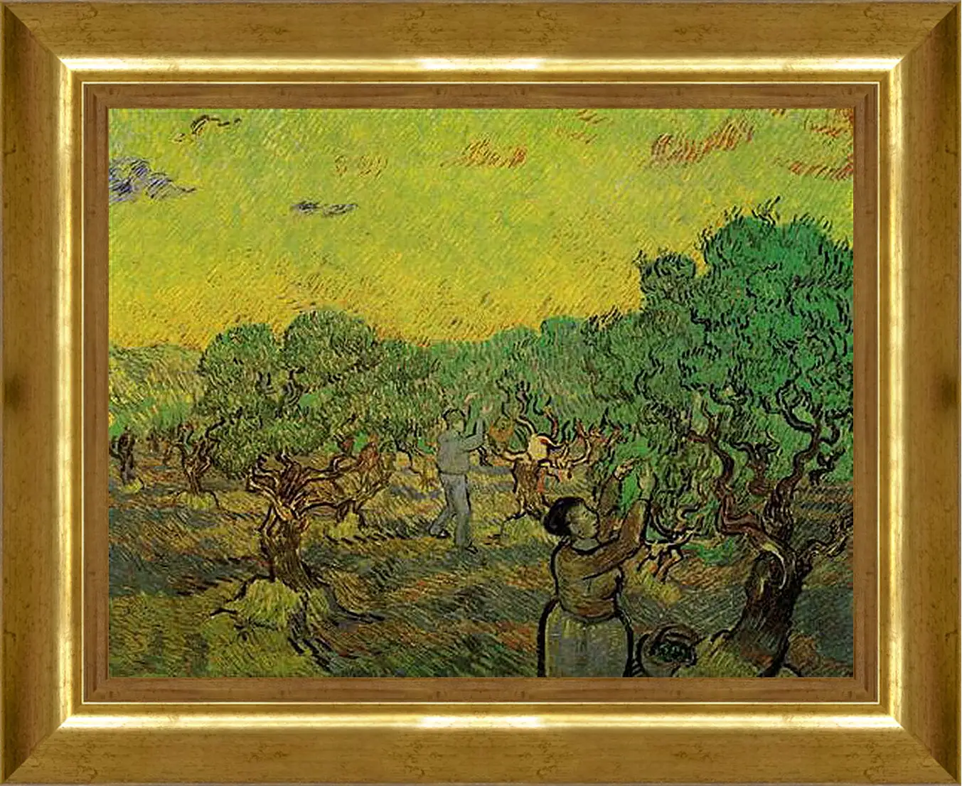 Картина в раме - Olive Grove with Picking Figures. Винсент Ван Гог
