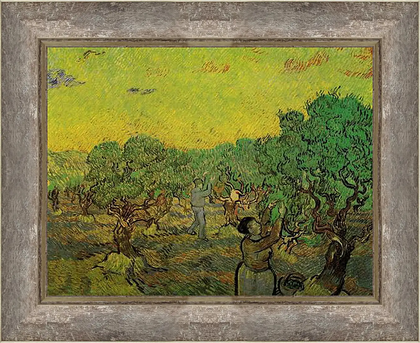 Картина в раме - Olive Grove with Picking Figures. Винсент Ван Гог