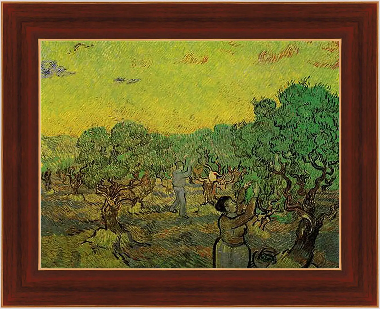 Картина в раме - Olive Grove with Picking Figures. Винсент Ван Гог