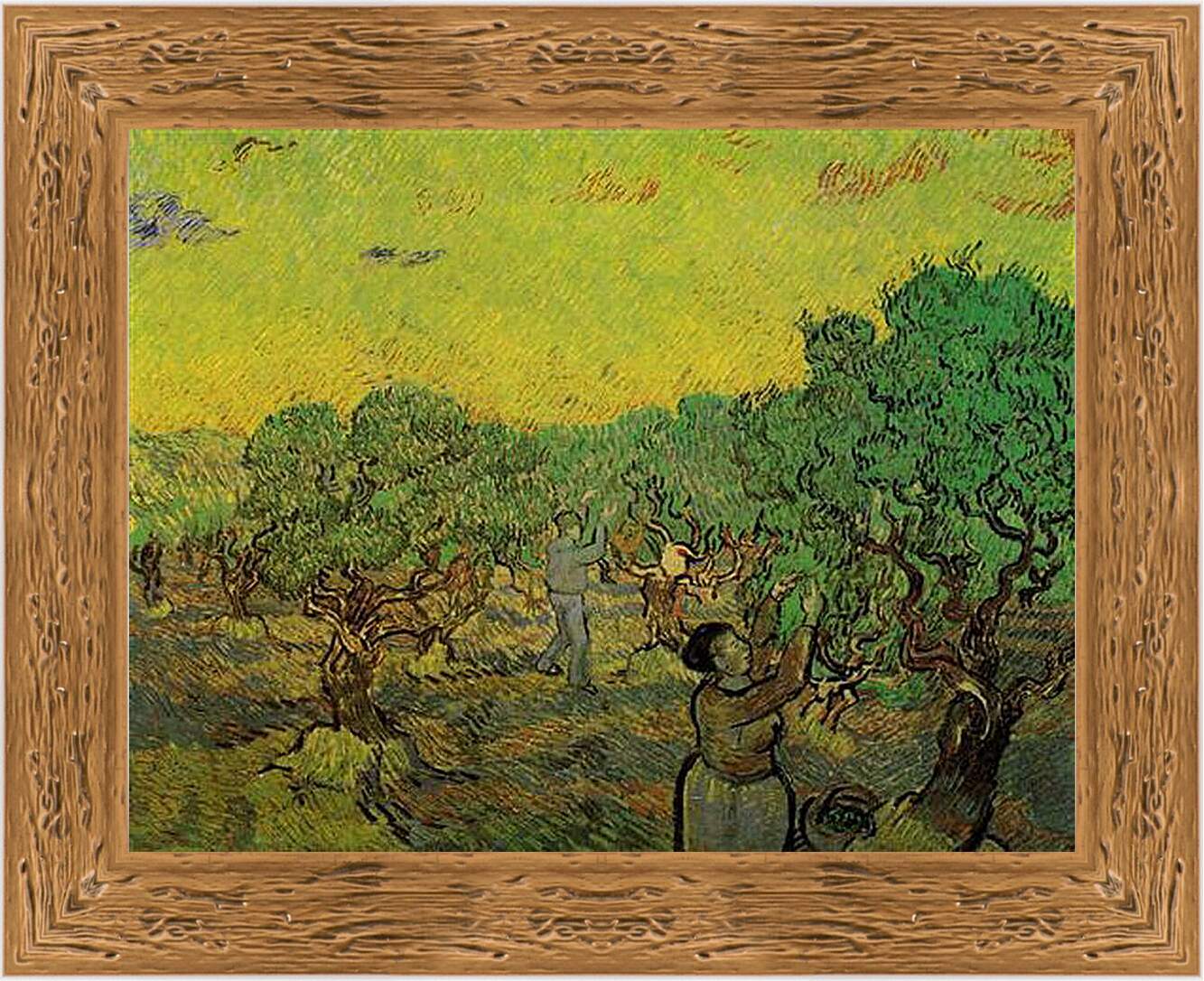 Картина в раме - Olive Grove with Picking Figures. Винсент Ван Гог