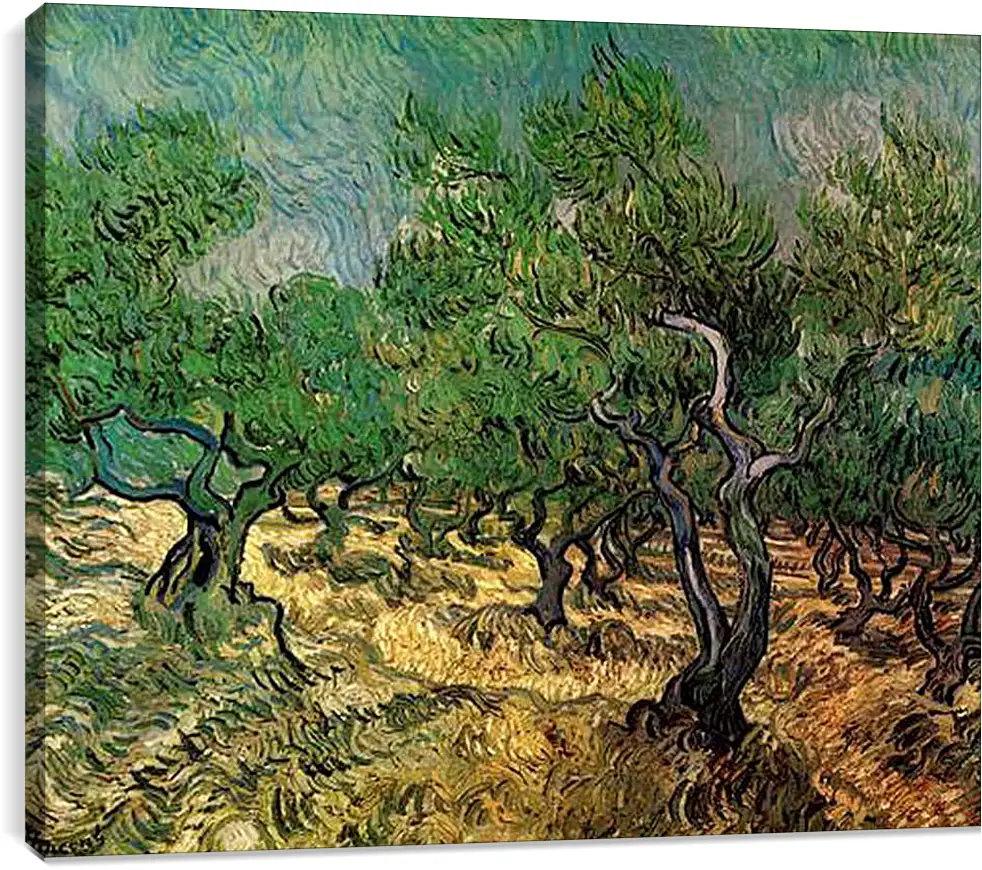 Постер и плакат - Olive Grove 2. Винсент Ван Гог